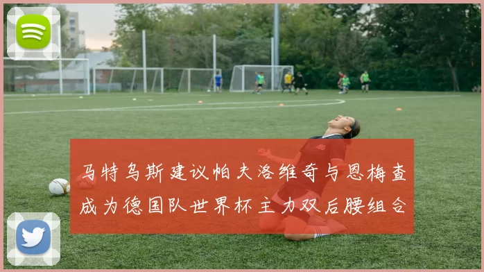 马特乌斯建议帕夫洛维奇与恩梅查成为德国队世界杯主力双后腰组合