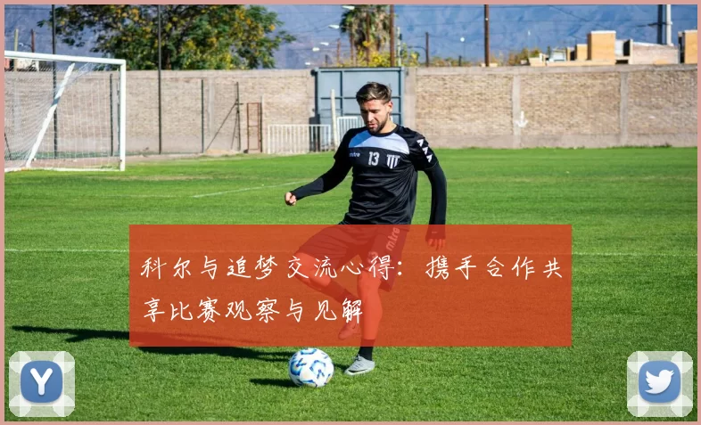 科尔与追梦交流心得：携手合作共享比赛观察与见解