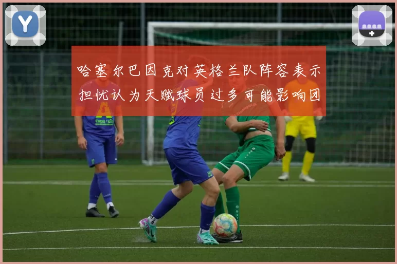 哈塞尔巴因克对英格兰队阵容表示担忧认为天赋球员过多可能影响团队合作