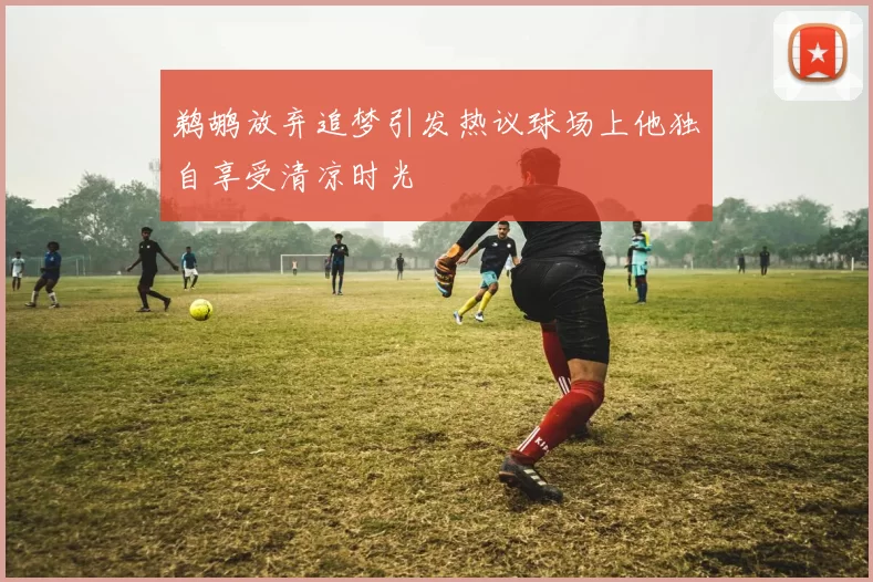 鹈鹕放弃追梦引发热议球场上他独自享受清凉时光