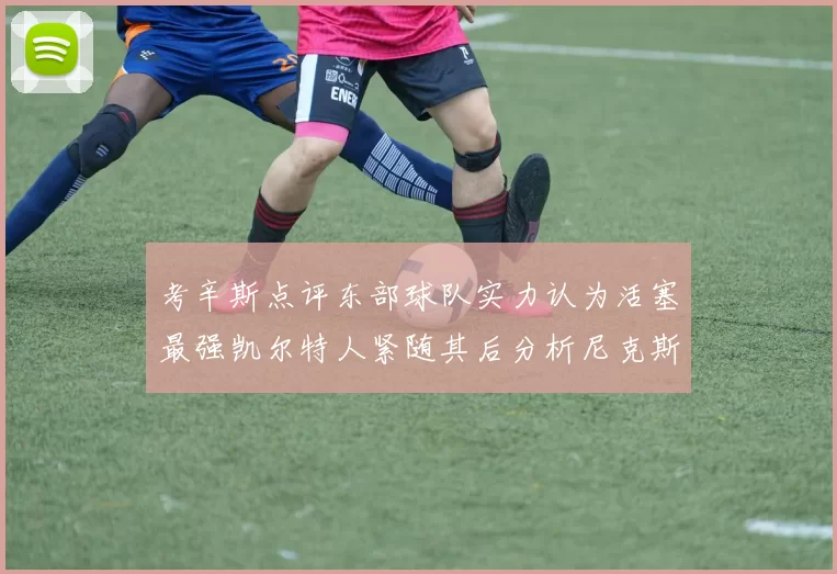 考辛斯点评东部球队实力认为活塞最强凯尔特人紧随其后分析尼克斯不足之处