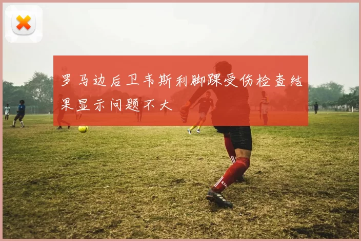罗马边后卫韦斯利脚踝受伤检查结果显示问题不大